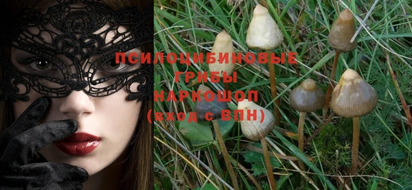 mix Дмитров