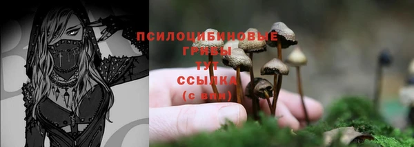 а пвп мука Елизово