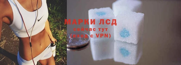 PSILOCYBIN Елабуга