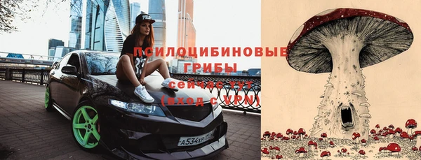 бошки Дмитриев