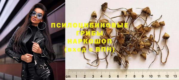 метадон Гусев
