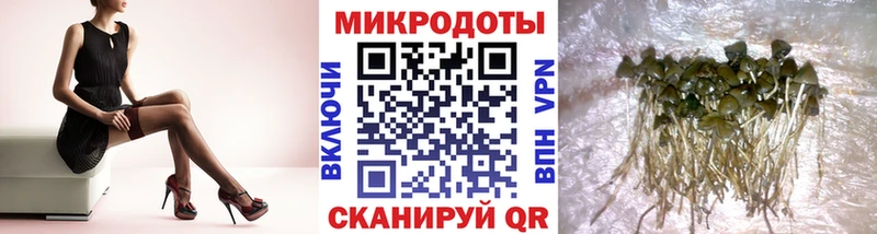 ссылка на мегу как войти  купить  сайты  Рыбинск  Псилоцибиновые грибы прущие грибы 